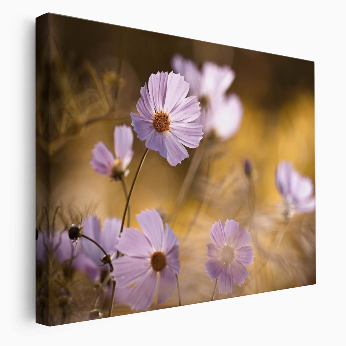 Delicate Pink Cosmos Floral Macro Garden Wall Art by Luxuriance Designs. Made in USA.