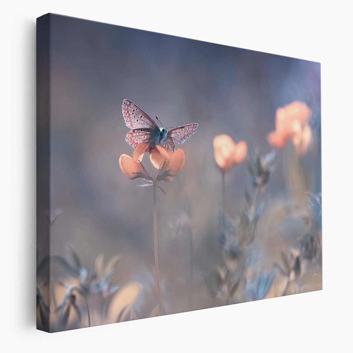 Dreamy Pastel Butterfly & Floral Meadow Macro Wall Art by Luxuriance Designs. Made in USA.