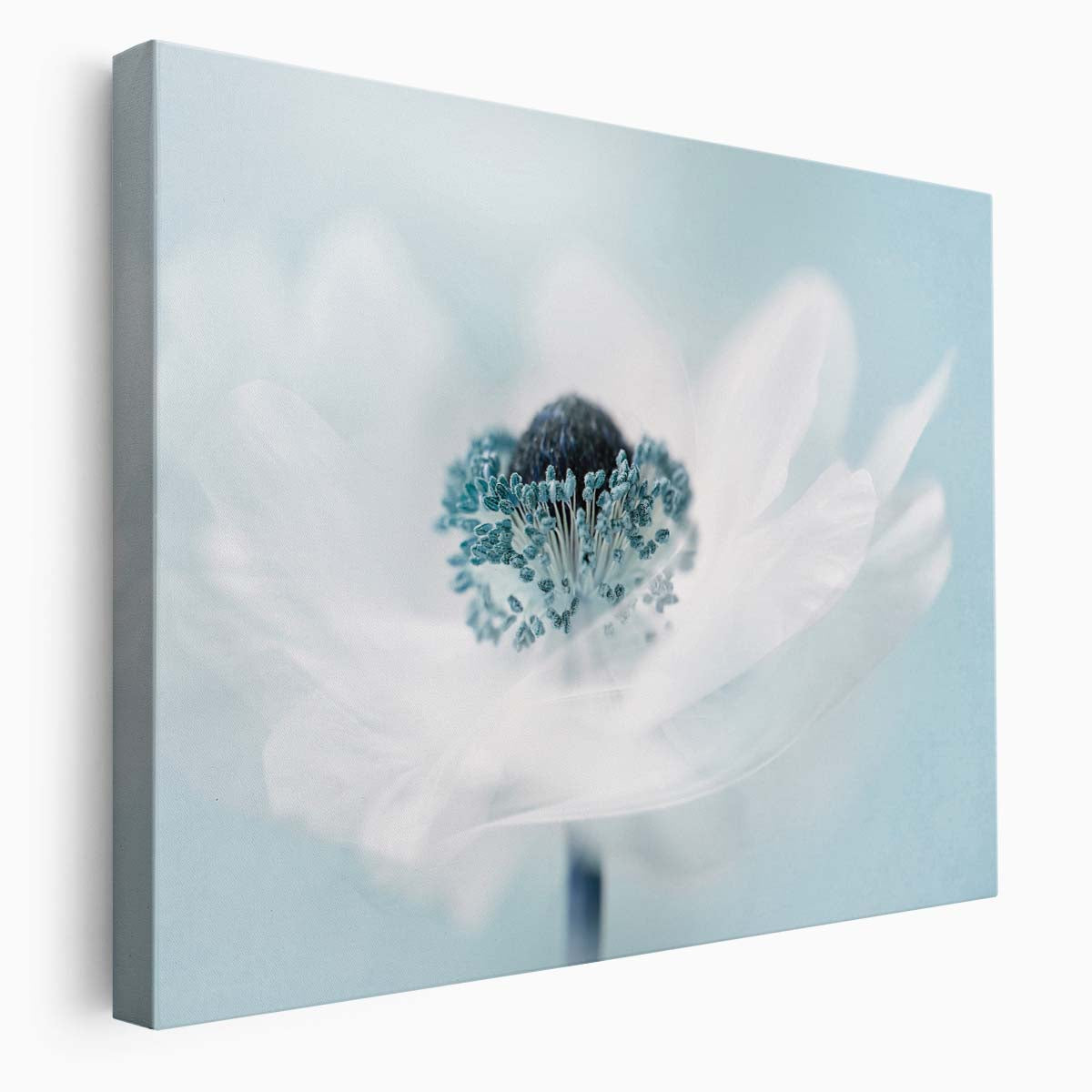 Turquoise Teal Floral Macro Abstraction Wall Art by Luxuriance Designs. Made in USA.