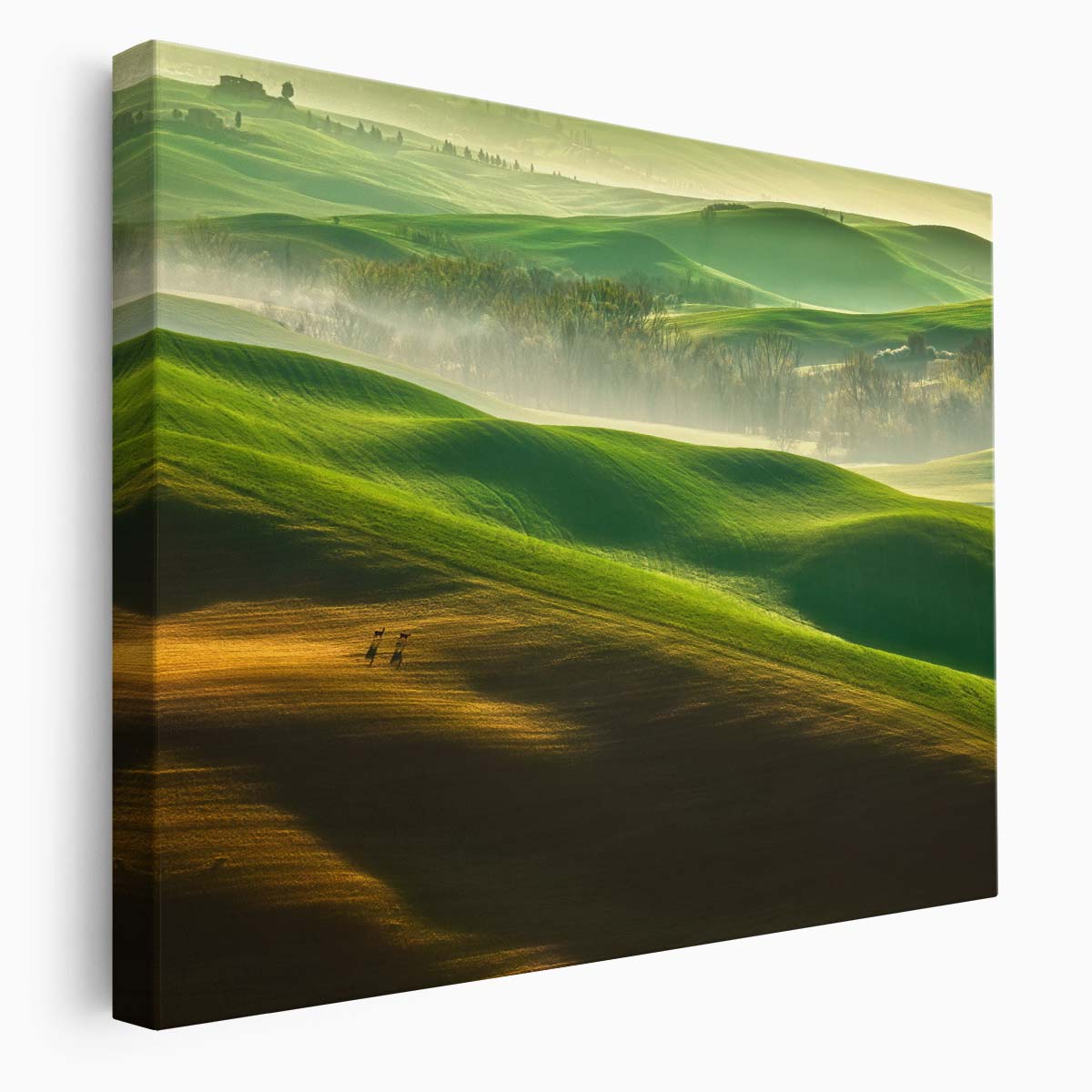 Tuscan Sunrise Misty Fields & Cypress Trees Wall Art by Luxuriance Designs. Made in USA.