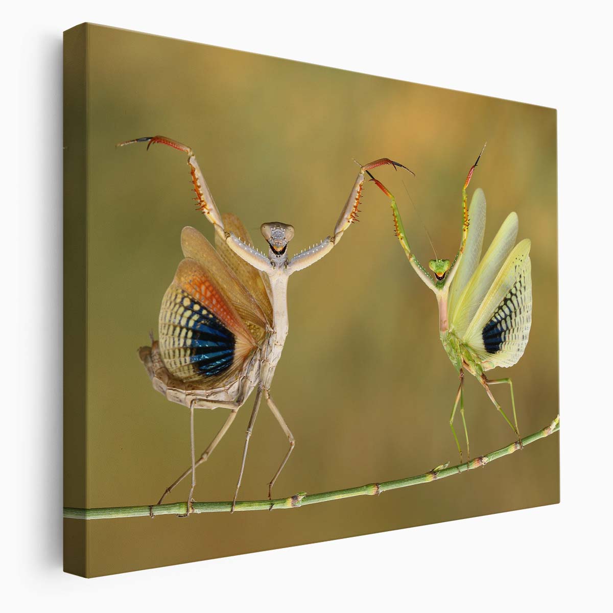 Joyful Ballet of Praying Mantises Duo Wall Art by Luxuriance Designs. Made in USA.
