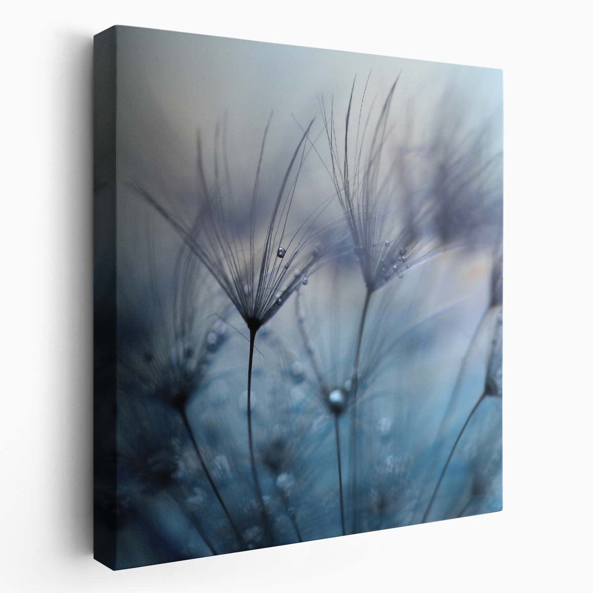 Delicate Dandelion Dew Drops Floral Macro Photography Wall Art by Luxuriance Designs. Made in USA.