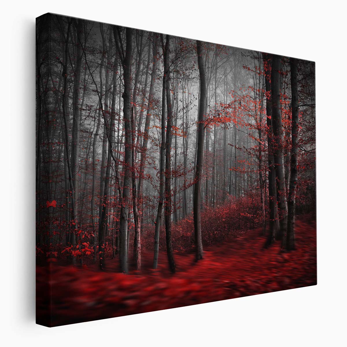 Surreal Autumn Forest & River Landscape Photography Wall Art