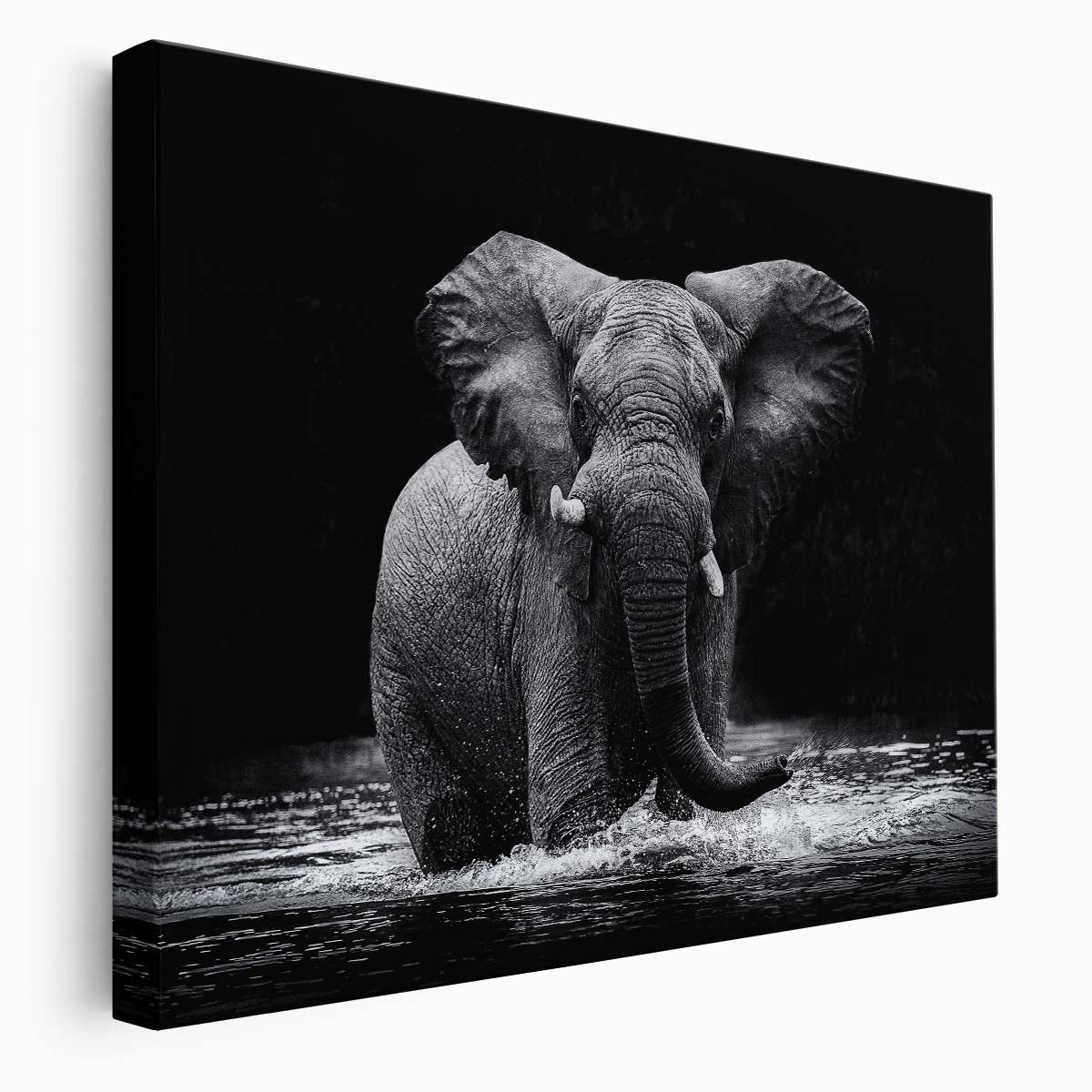 Monochrome Elephant Swimming Kafue River Wall Art by Luxuriance Designs. Made in USA.