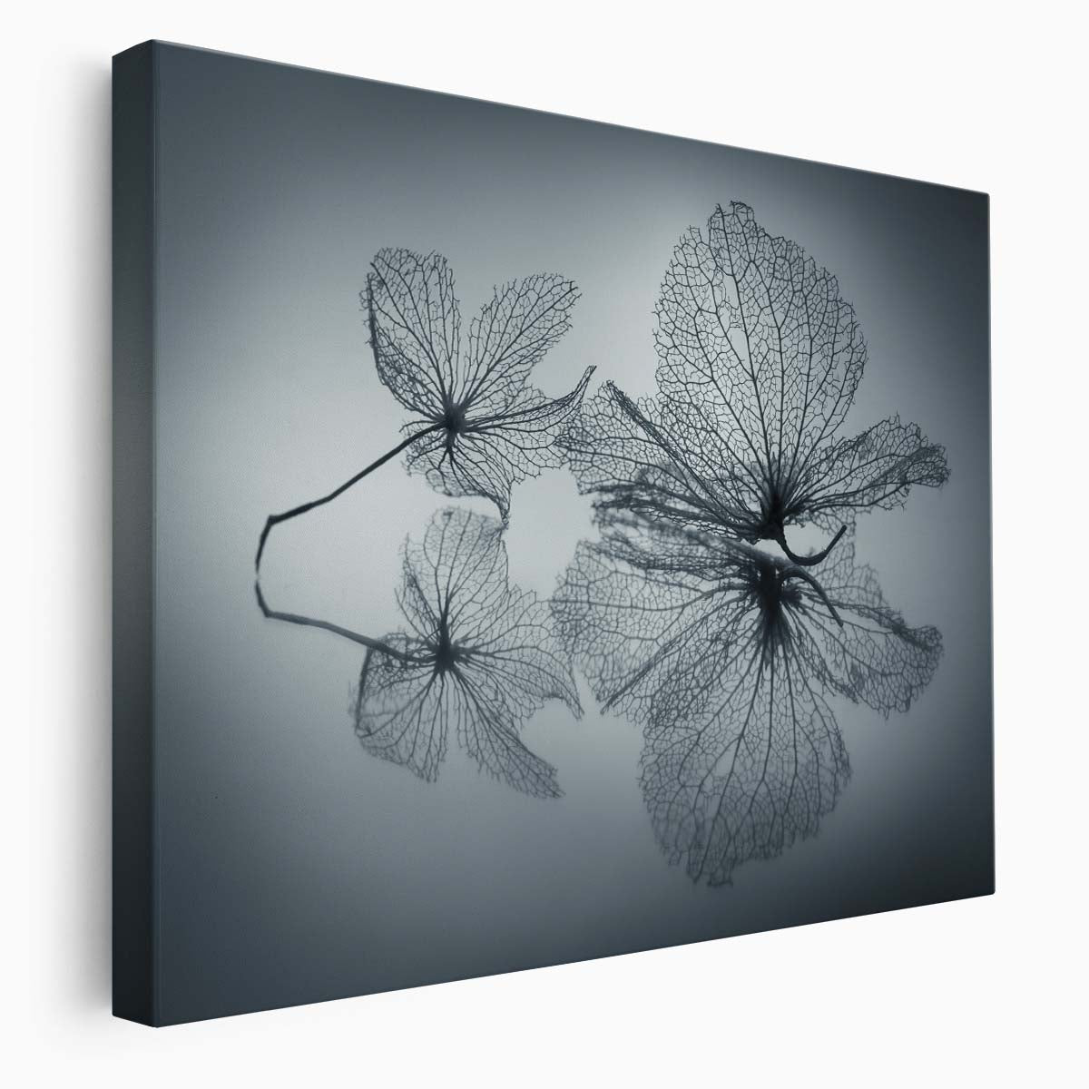 Serene Hydrangea Elegance Delicate Floral Wall Art by Luxuriance Designs. Made in USA.