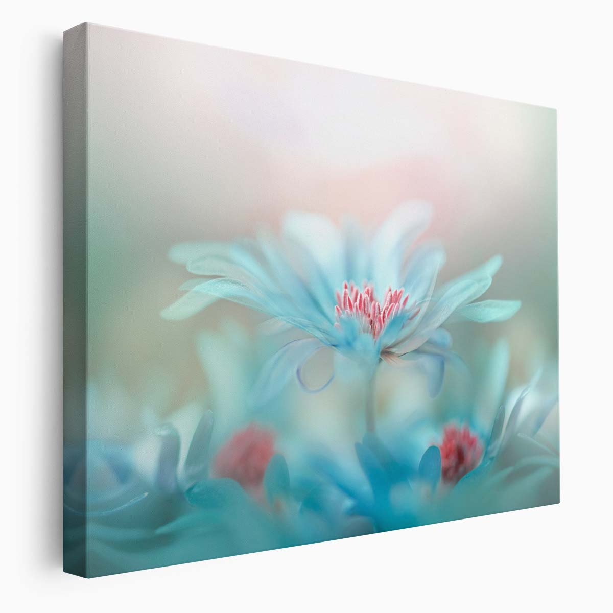 Romantic Spring Blossom Duo Macro Wall Art by Luxuriance Designs. Made in USA.