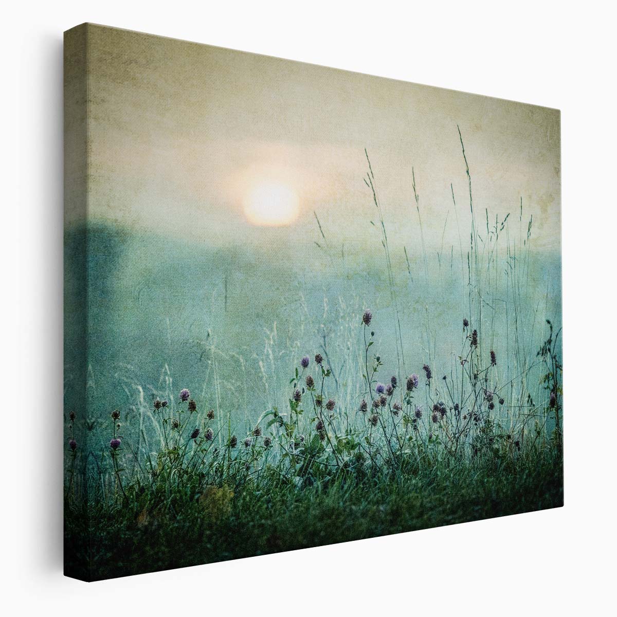 Autumn Sunrise Landscape Painterly Dawn Flower Field Photography Wall Art