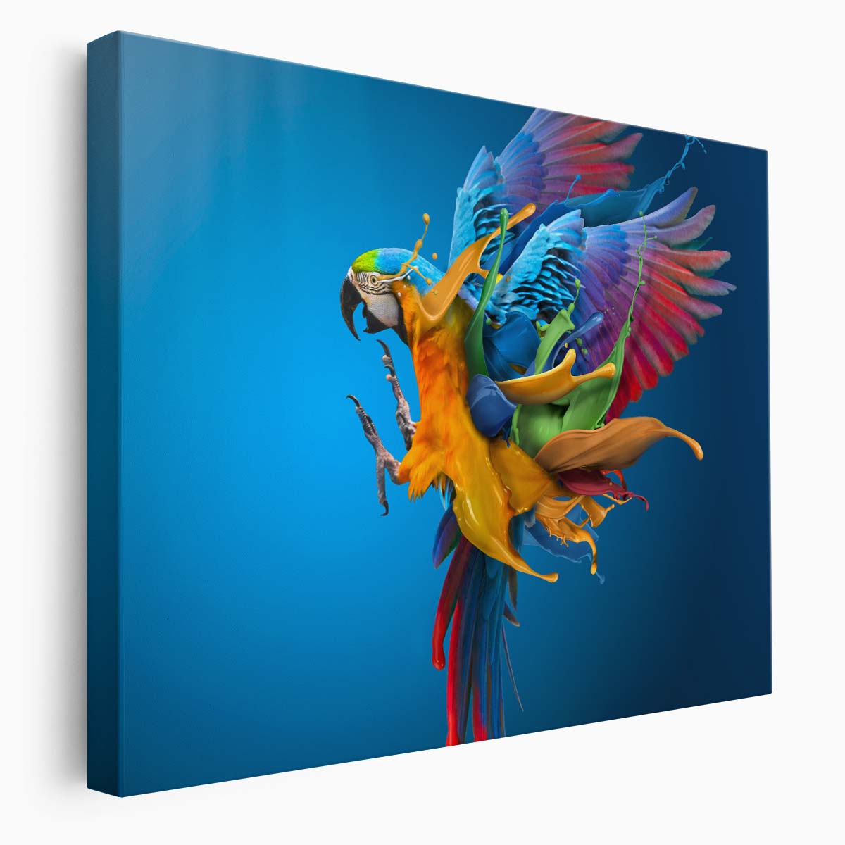 Surreal Colorful Parrot in Flight Dramatic Photographic Art Wall Art