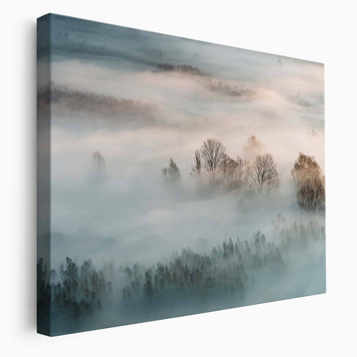 Dreamy Winter Sunrise Forest Mist Landscape Photography Wall Art