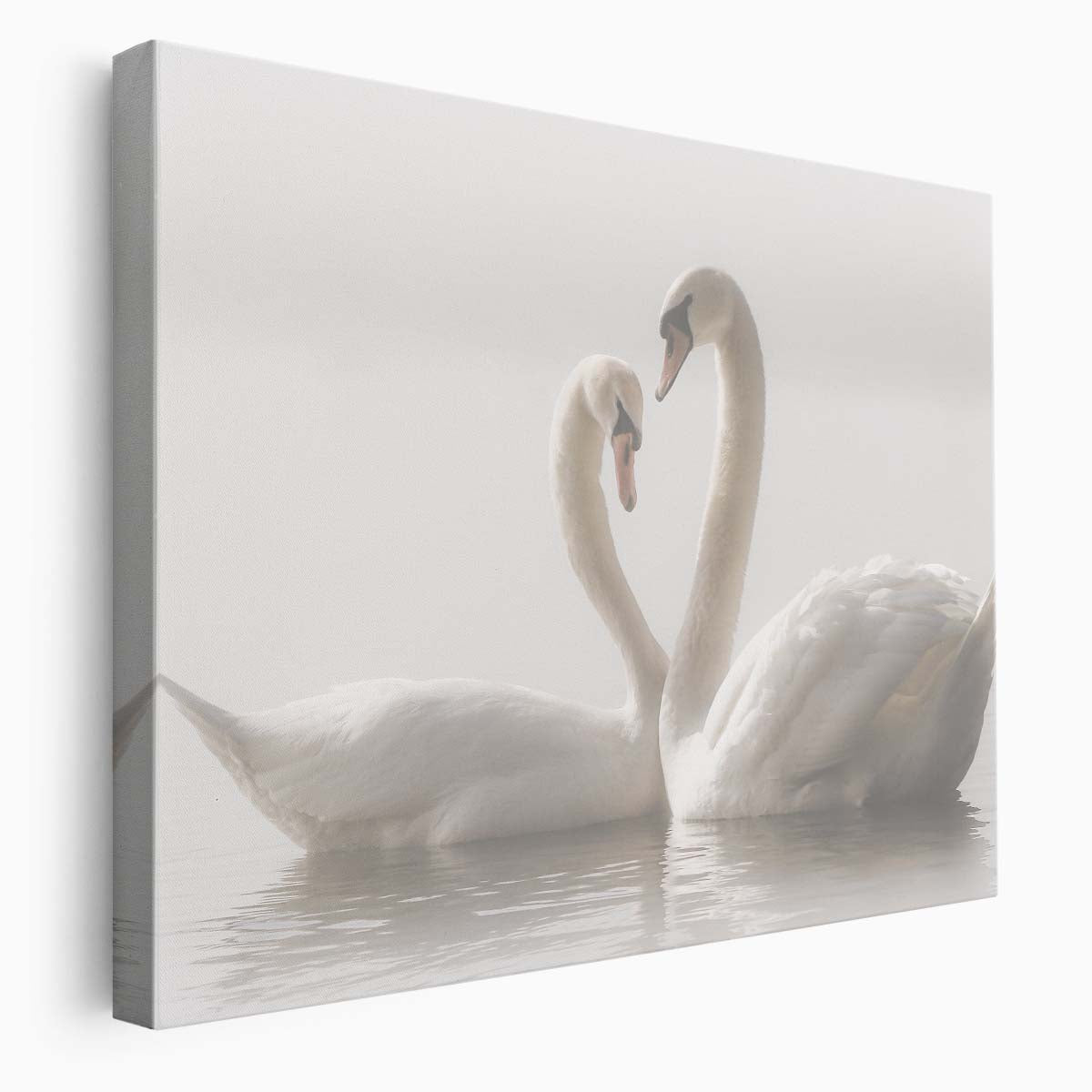 Romantic Misty Swan Couple in Tranquil German Waters Wall Art