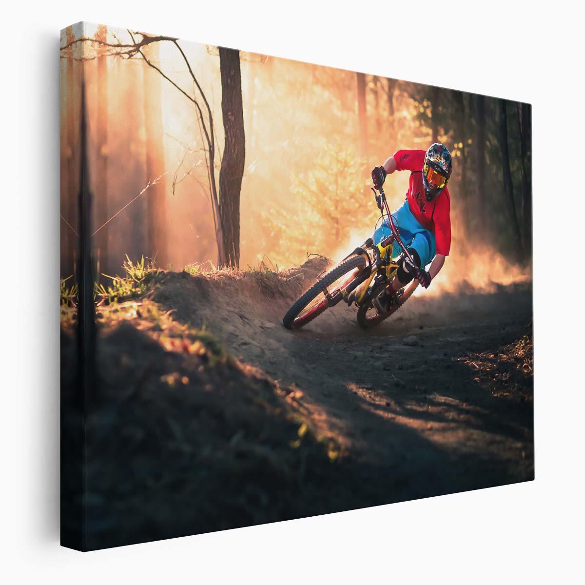 Golden MTB Freeride Adventure Bermed Corner Wall Art by Luxuriance Designs. Made in USA.