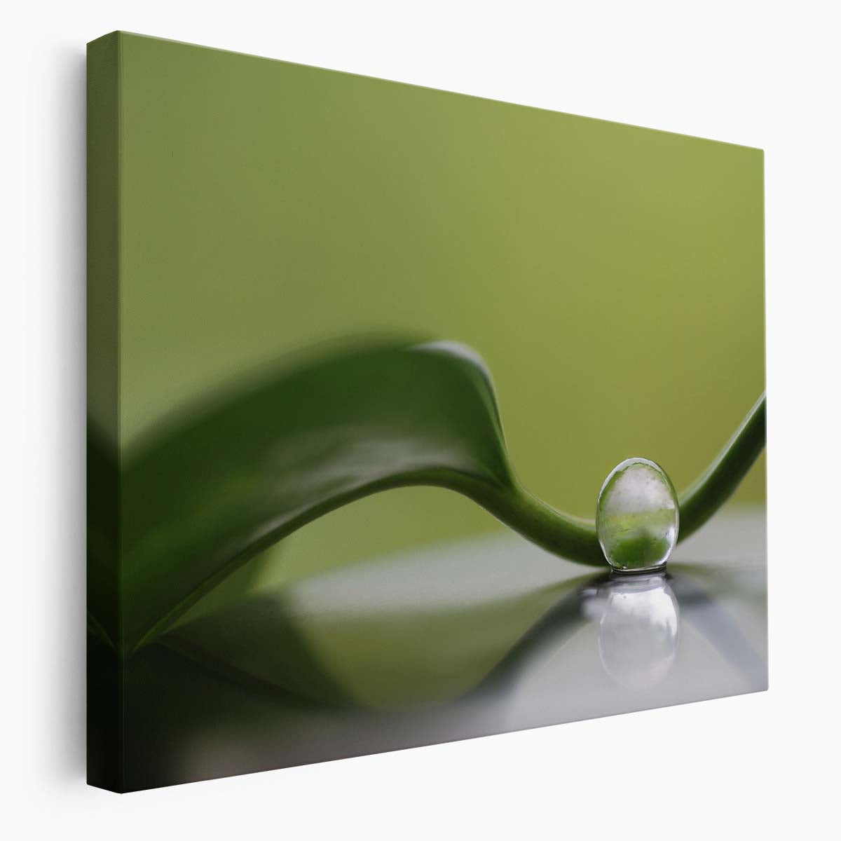 Serene Green Leaf & Dew Drops Botanical Wall Art by Luxuriance Designs. Made in USA.