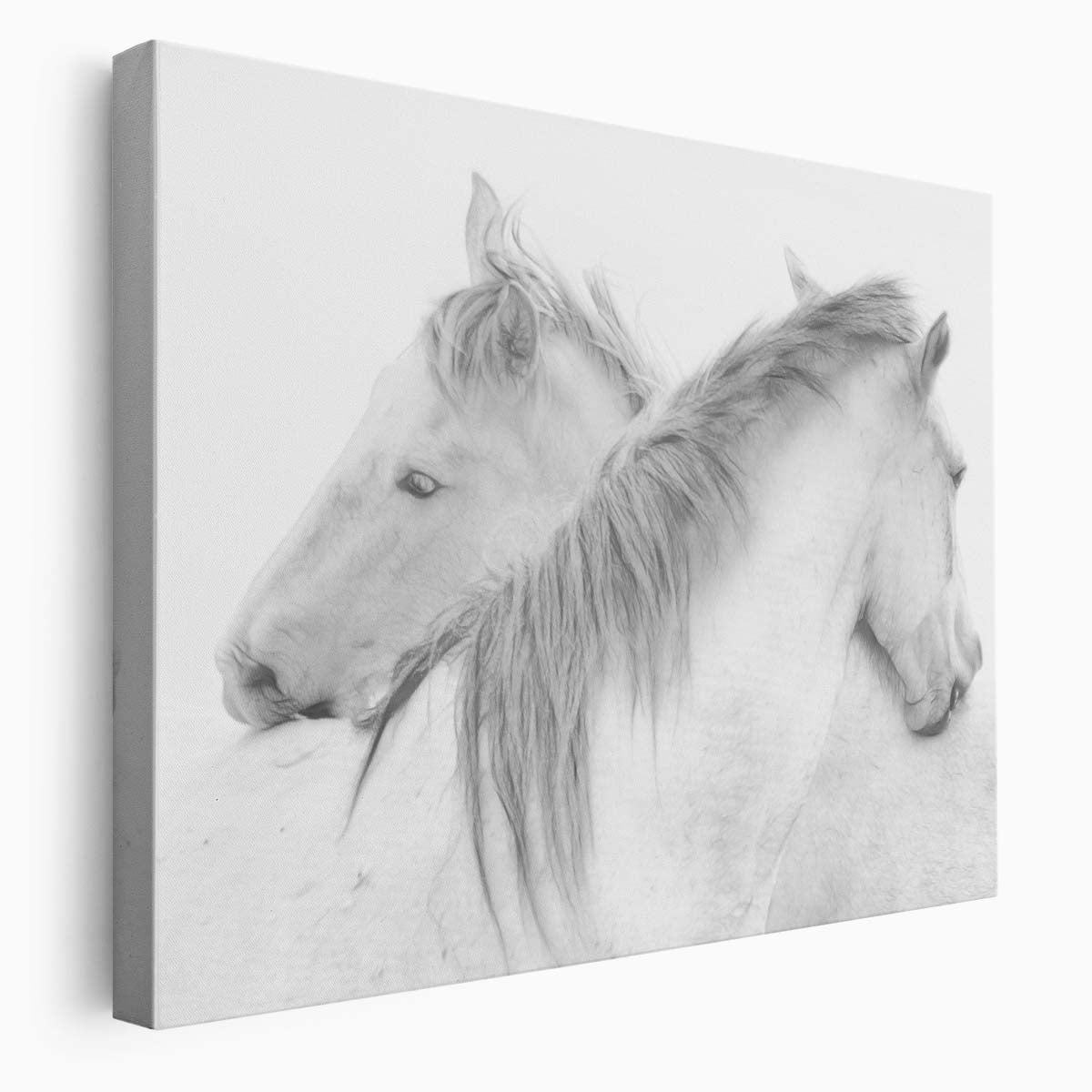 Romantic Horses Embrace Monochrome Equestrian Love Photography Wall Art