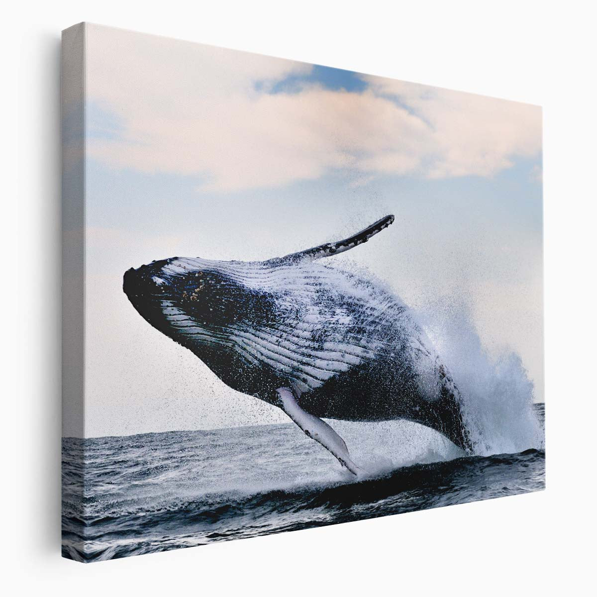 Majestic Humpback Whale Leap Ocean Seascape Wall Art by Luxuriance Designs. Made in USA.