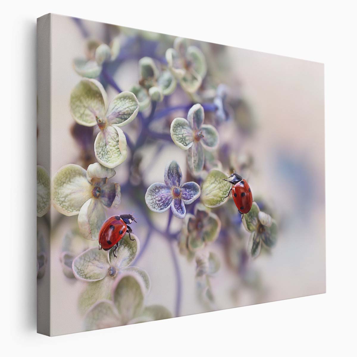 Macro Floral Ladybug Encounter Nature Wall Art by Luxuriance Designs. Made in USA.