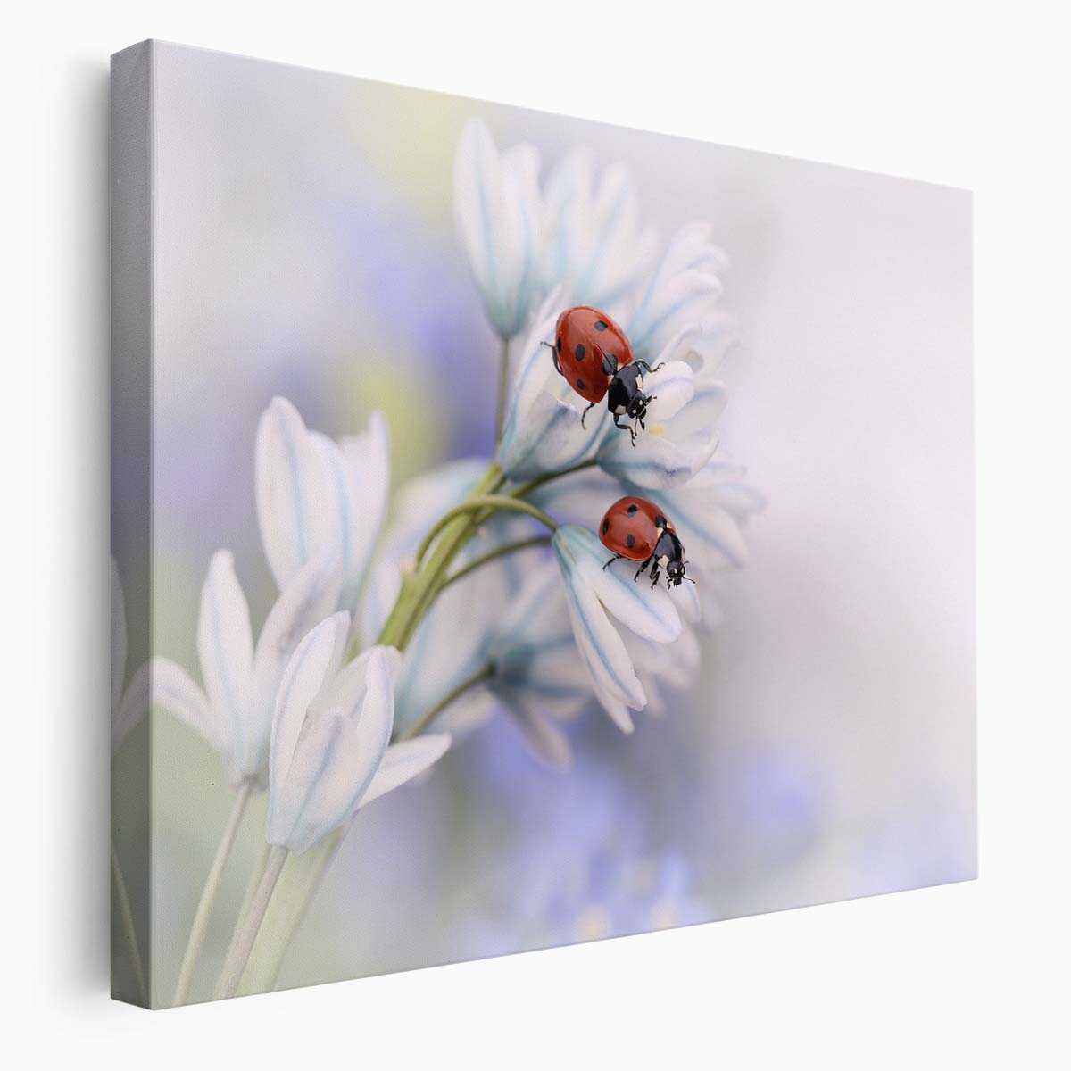 Romantic Ladybird Duo on Delicate Flower Wall Art by Luxuriance Designs. Made in USA.