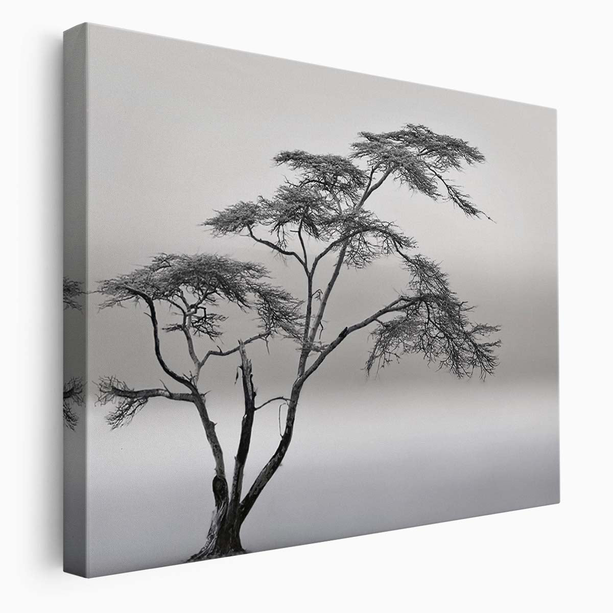 Misty Savannah Lonely Tree Monochrome Landscape Wall Art by Luxuriance Designs. Made in USA.