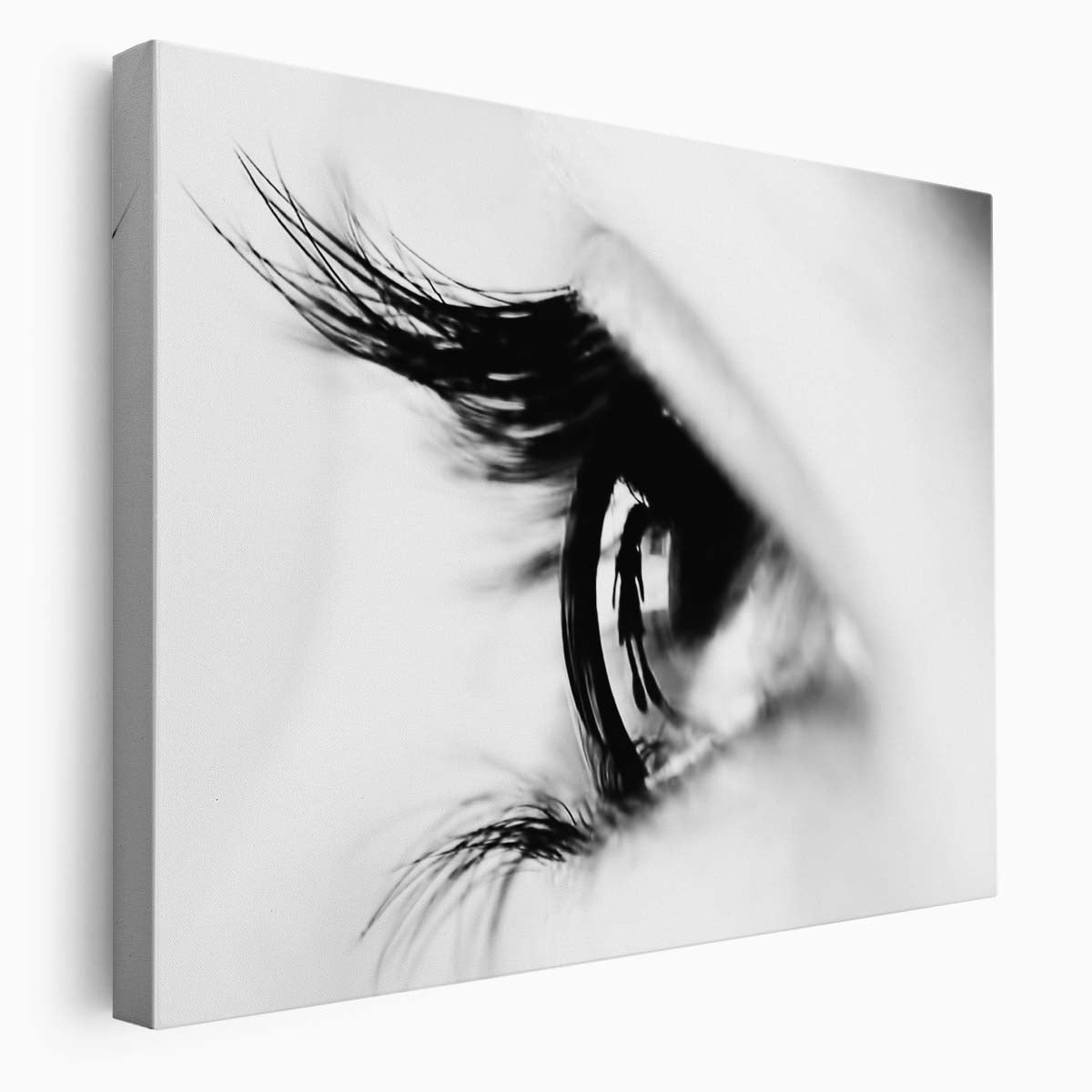 Monochrome Macro Girl Eye Reflection Wall Art by Luxuriance Designs. Made in USA.