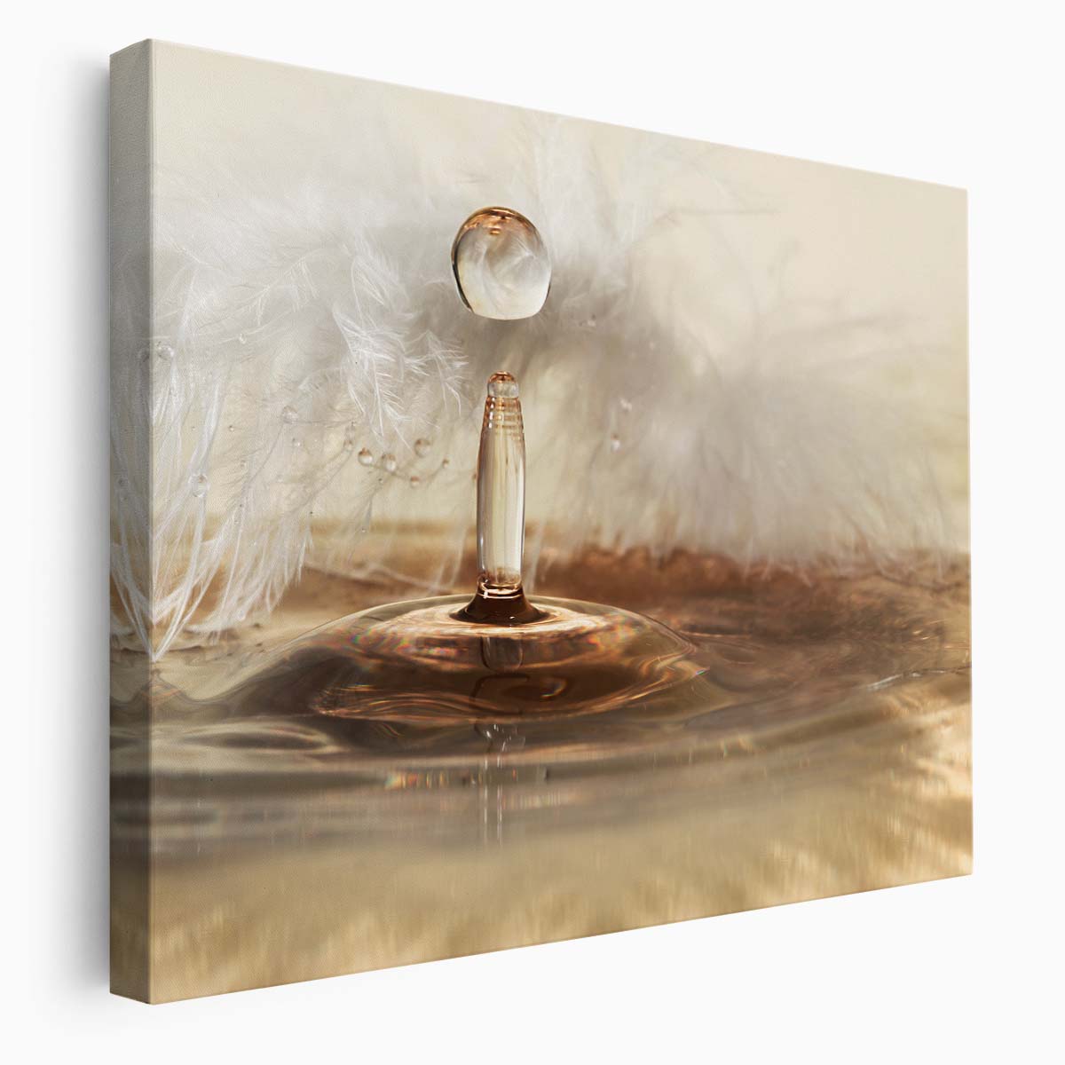 Golden Feather & Water Droplet Abstract Wall Art by Luxuriance Designs. Made in USA.