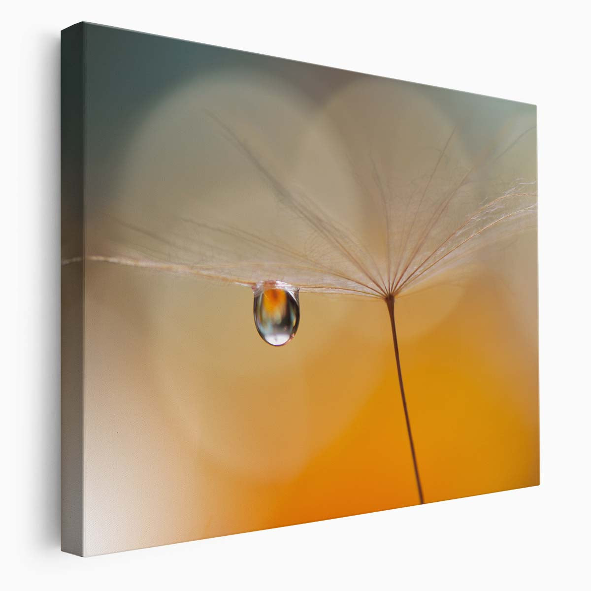 Abstract Macro Dandelion & Feather Drops Wall Art by Luxuriance Designs. Made in USA.