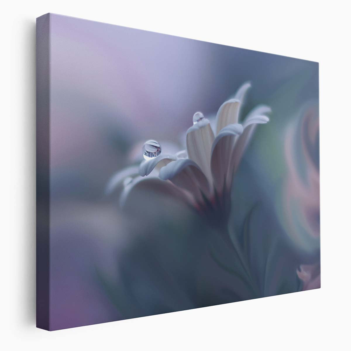 Delicate Floral Dewdrops Macro Pastel Wall Art by Luxuriance Designs. Made in USA.