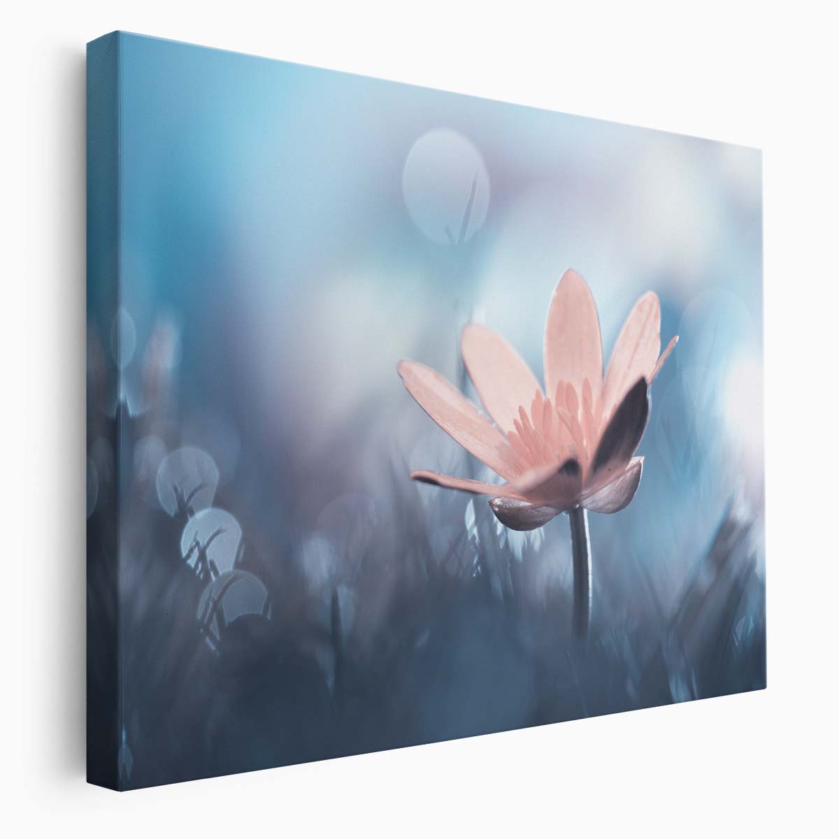 Pastel Pink Blossom Macro Floral Bokeh Wall Art by Luxuriance Designs. Made in USA.