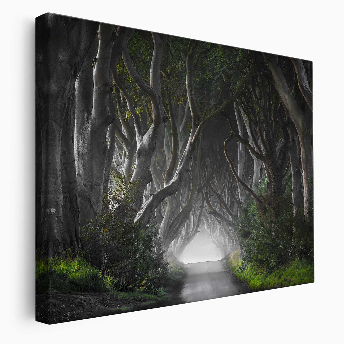 Enchanted Bregagh Road Dark Hedges Ireland Wall Art by Luxuriance Designs. Made in USA.