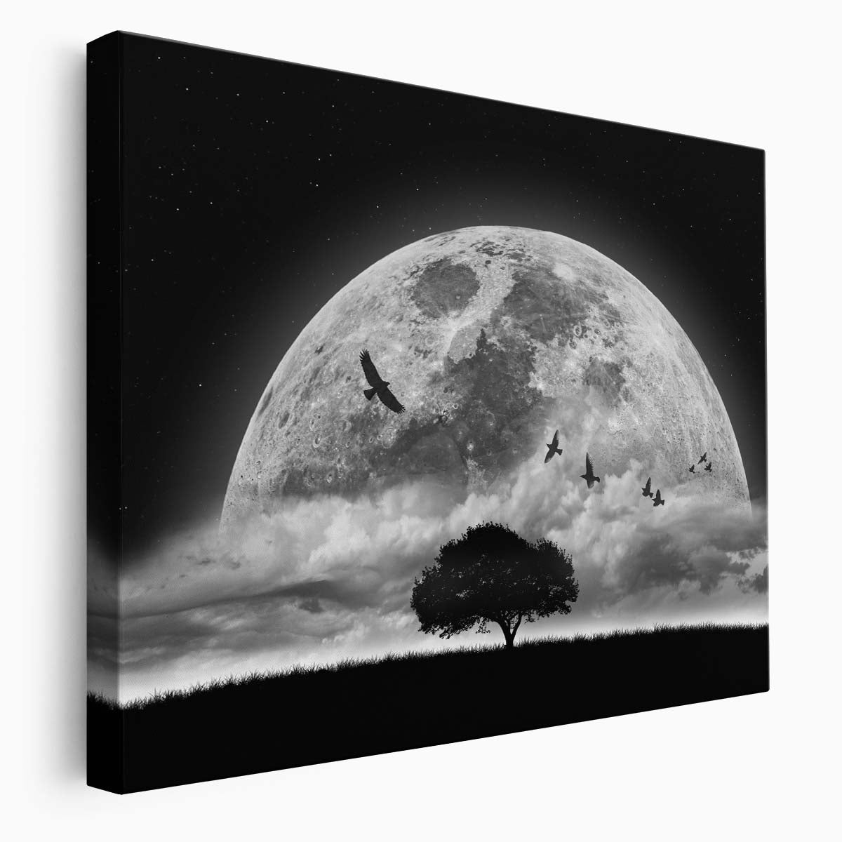 Surreal Moonlit Sky & Birds Montage Wall Art by Luxuriance Designs. Made in USA.