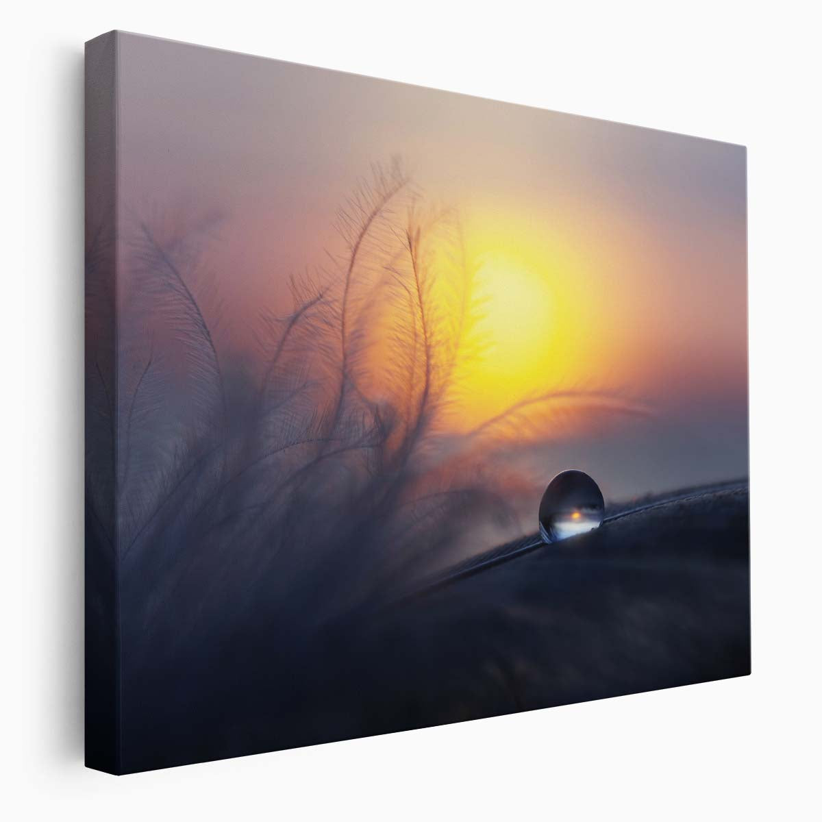 Delicate Dawn Feather & Dewdrop Sunrise Wall Art by Luxuriance Designs. Made in USA.