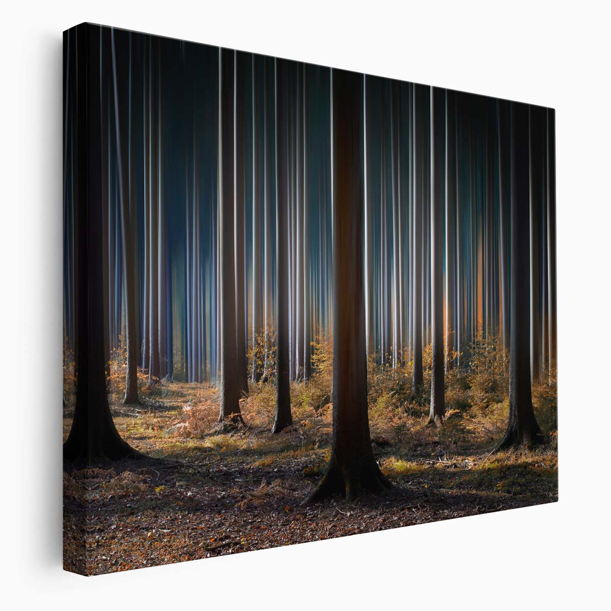Mystical Sachsenwald Forest Path Autumn Wall Art by Luxuriance Designs. Made in USA.