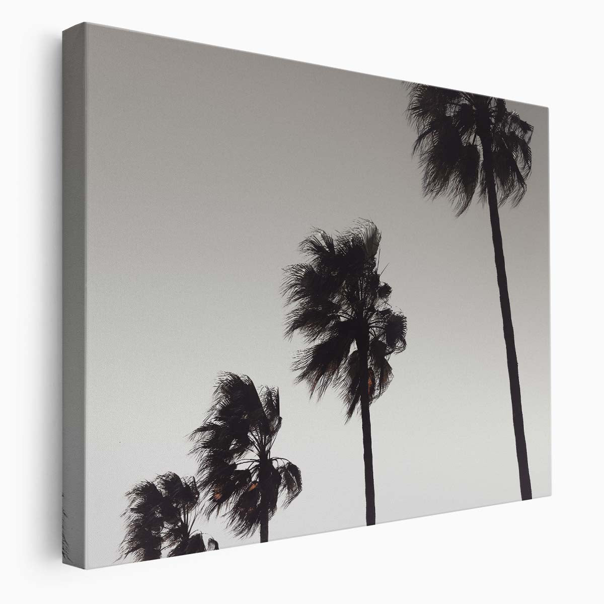 Coastal Paradise Palm Trees Monochrome Landscape Wall Art by Luxuriance Designs. Made in USA.