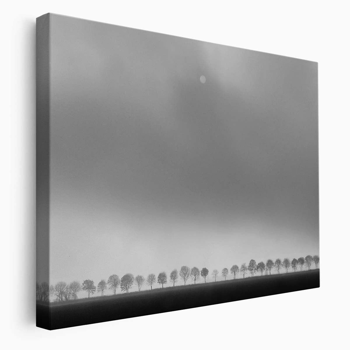 Moonlit Monochrome Tree Panorama Dutch Landscape Wall Art by Luxuriance Designs. Made in USA.