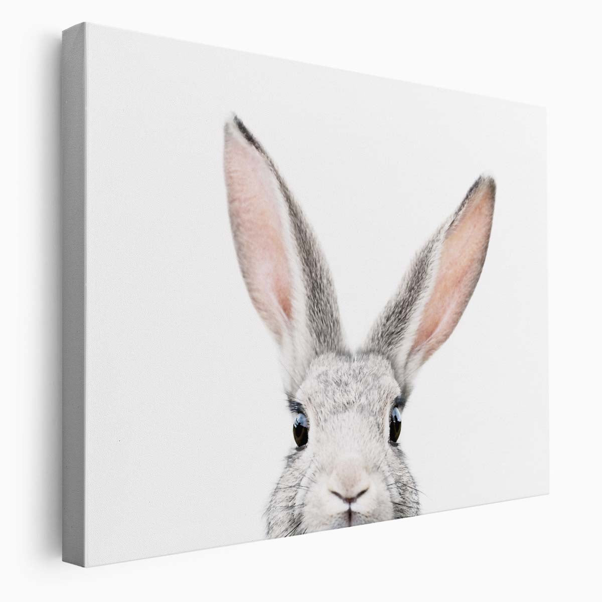 Cute Bunny Portrait on Bright Background - Wildlife Photography Wall Art