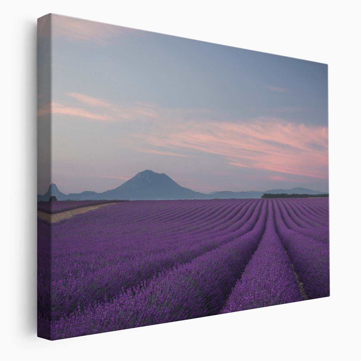 Provence Lavender Fields Floral Landscape Wall Art by Luxuriance Designs. Made in USA.