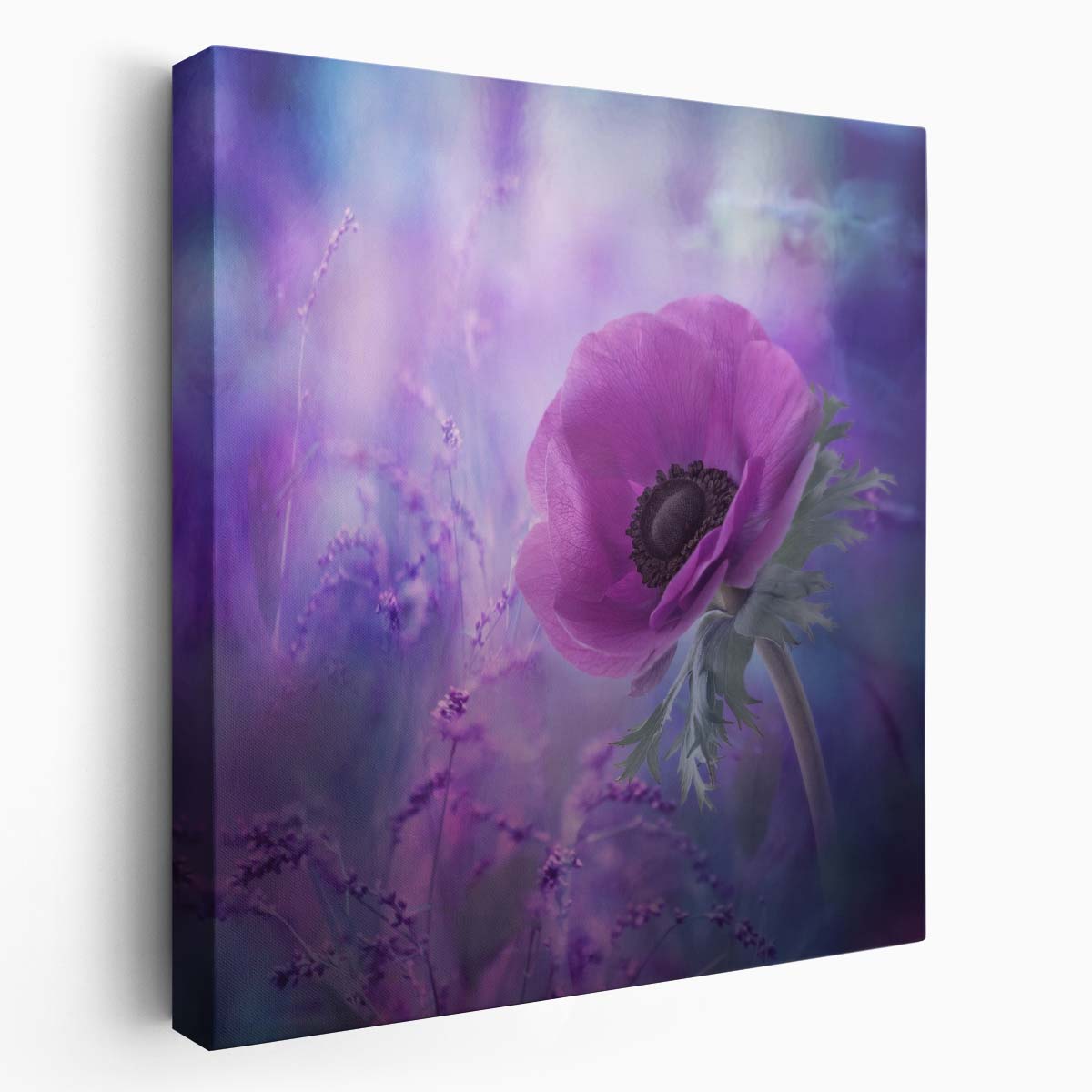 Soft Floral Ecstasy Purple Poppy Garden Photography Wall Art by Luxuriance Designs. Made in USA.