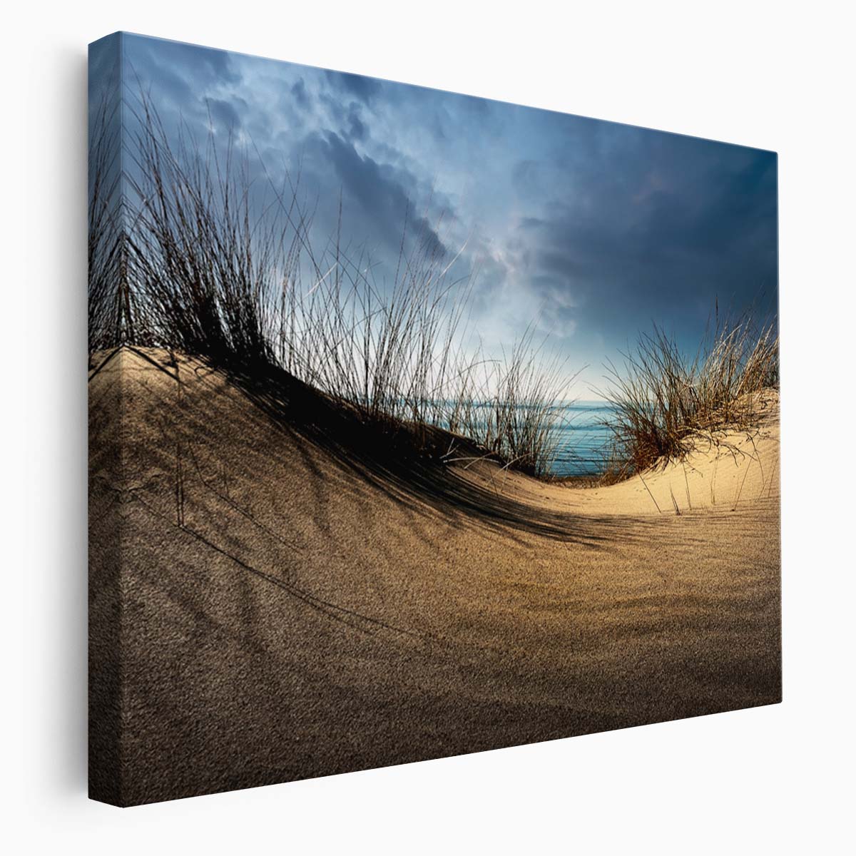 Dutch Coastal Dunes & Beaches Landscape Photography Wall Art