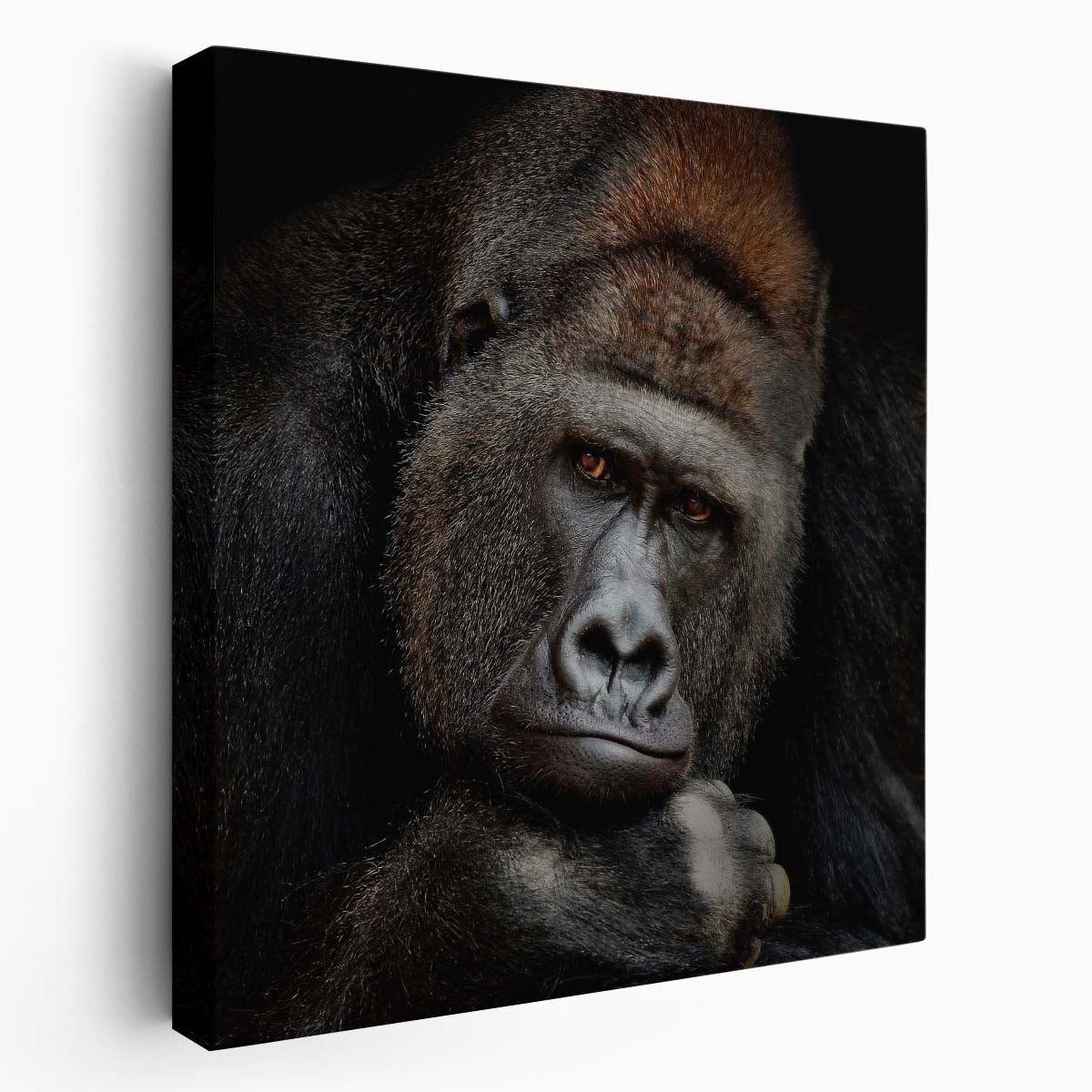 Thoughtful Silverback Gorilla Portrait Majestic Wildlife Photography Wall Art by Luxuriance Designs. Made in USA.