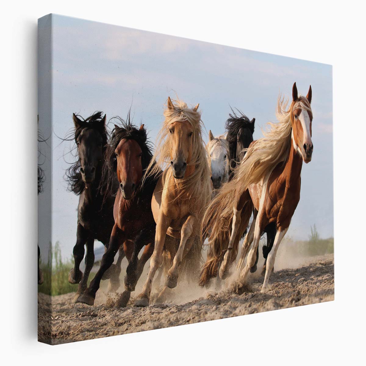 Dramatic Galloping Horses in Action - Mongolian Summer Wall Art