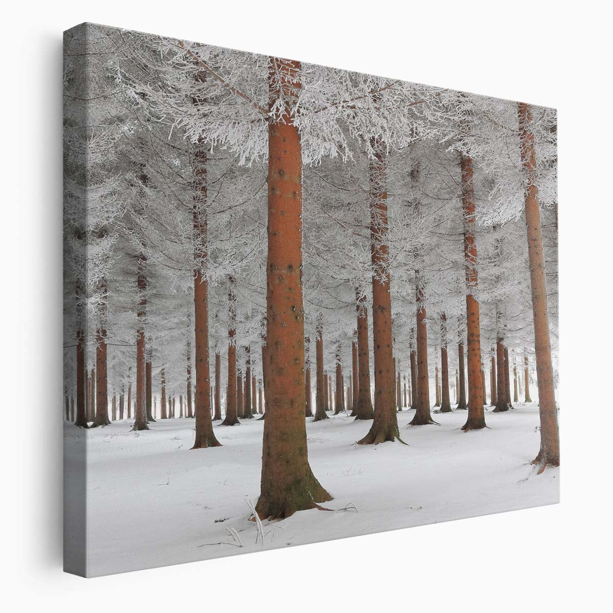 Frosty Serbian Winter Forest Snowscape Wall Art by Luxuriance Designs. Made in USA.