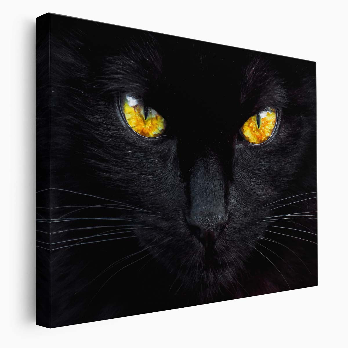 Hypnotic Gaze Black Cat Yellow Eyes Wall Art by Luxuriance Designs. Made in USA.