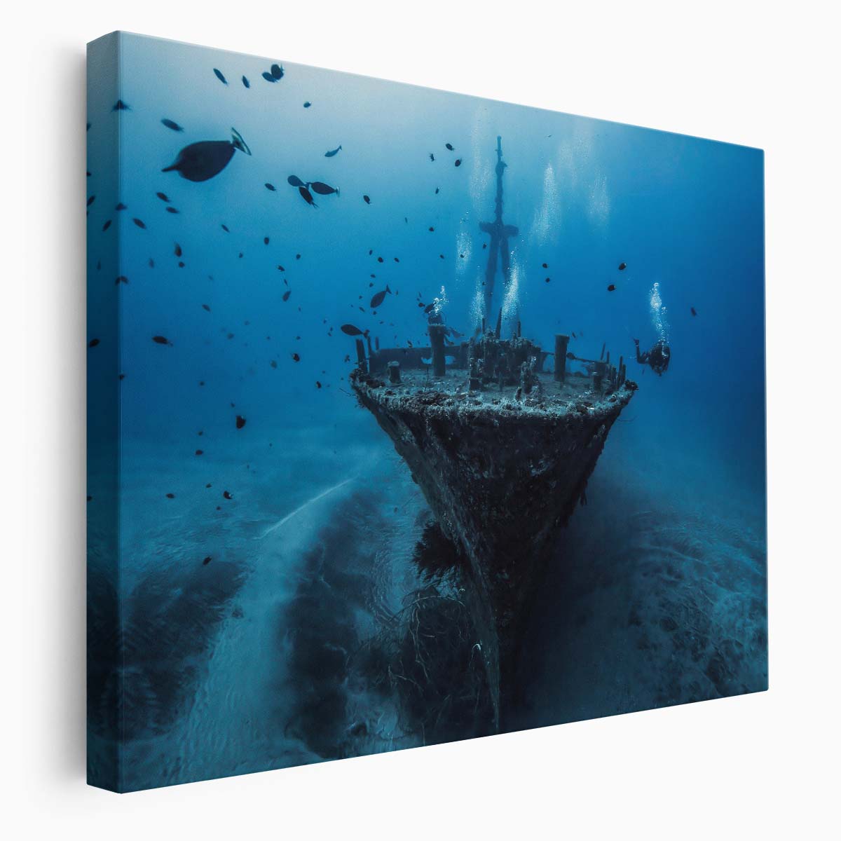Sunken Shipwreck Adventure Deep Ocean Wall Art by Luxuriance Designs. Made in USA.