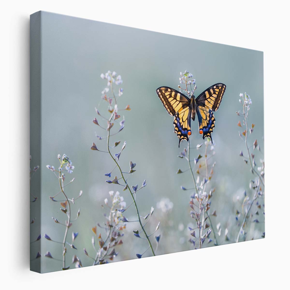 Swallowtail Butterfly & Floral Meadow Macro Wall Art by Luxuriance Designs. Made in USA.