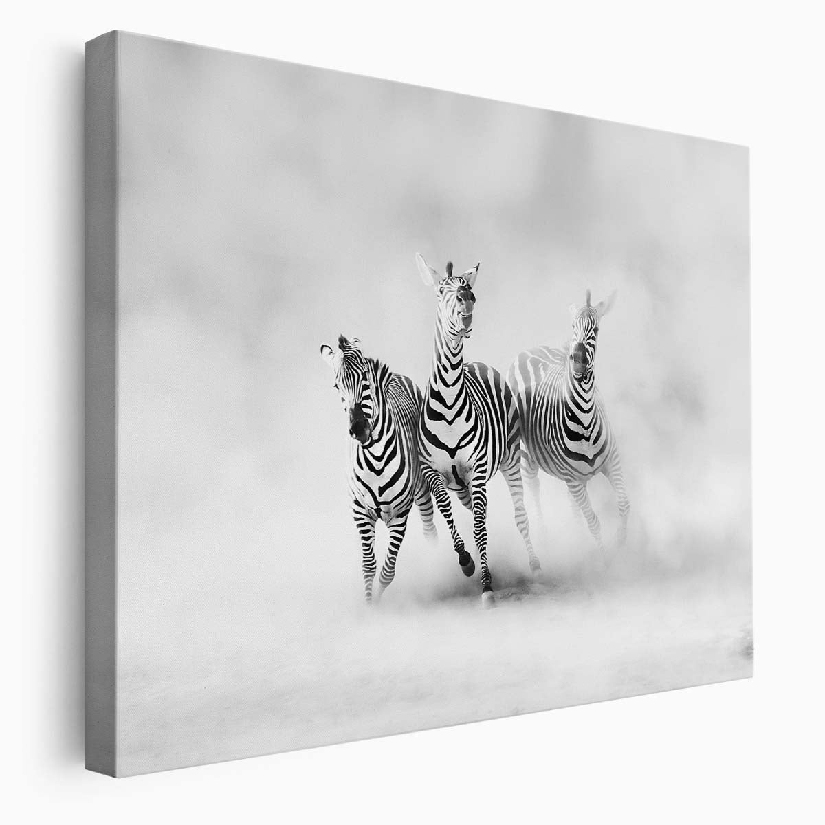 Speeding Zebras Trio in Misty Haze Wall Art by Luxuriance Designs. Made in USA.