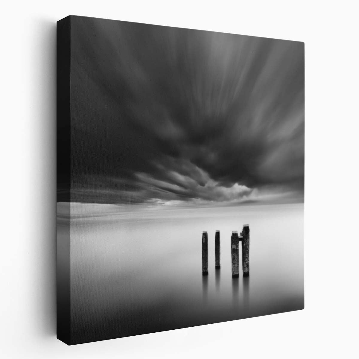 Windswept Decay in Monochrome Seascape by George Digalakis Wall Art by Luxuriance Designs. Made in USA.