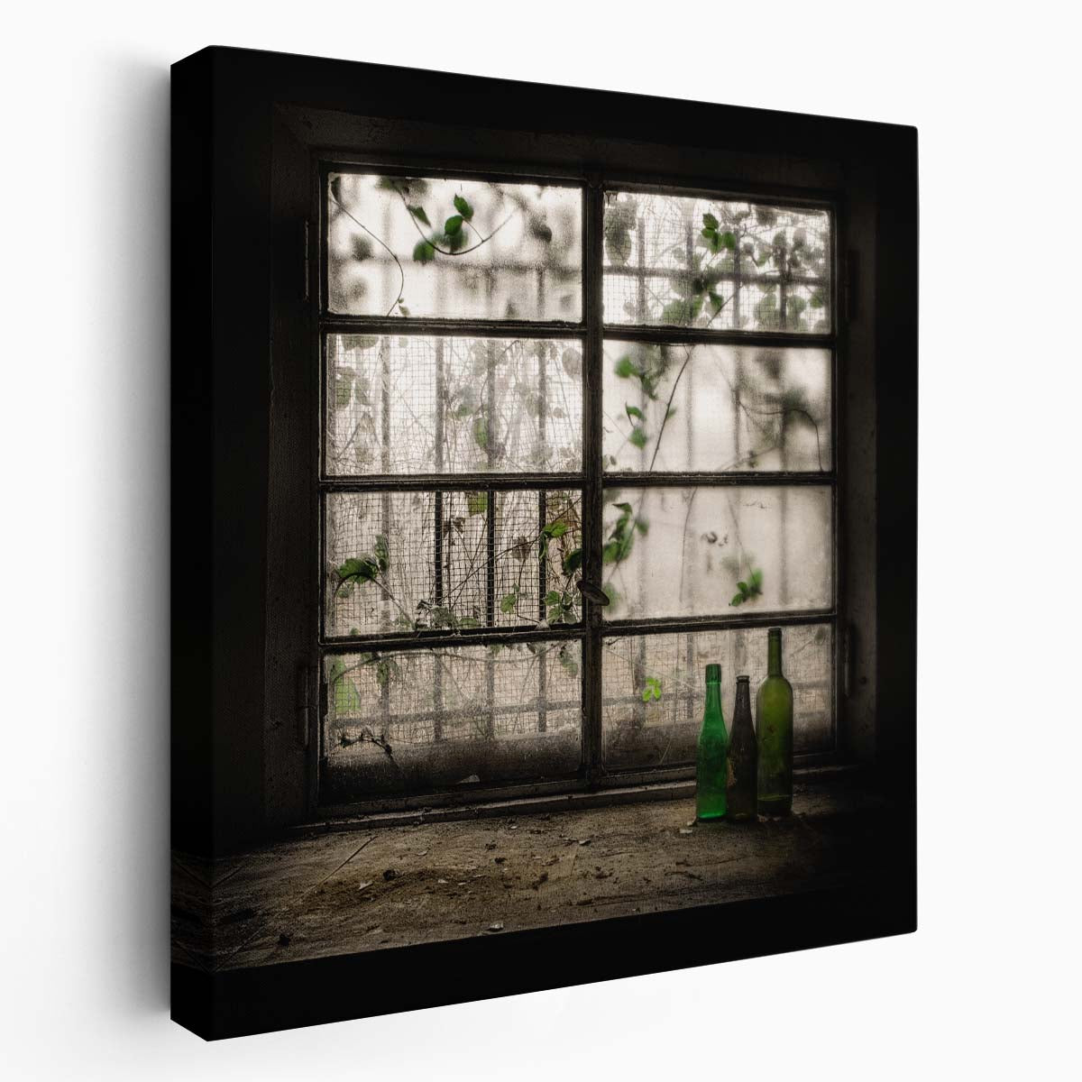 Serene Vintage Italian Window Still Life Photography Wall Art by Luxuriance Designs. Made in USA.