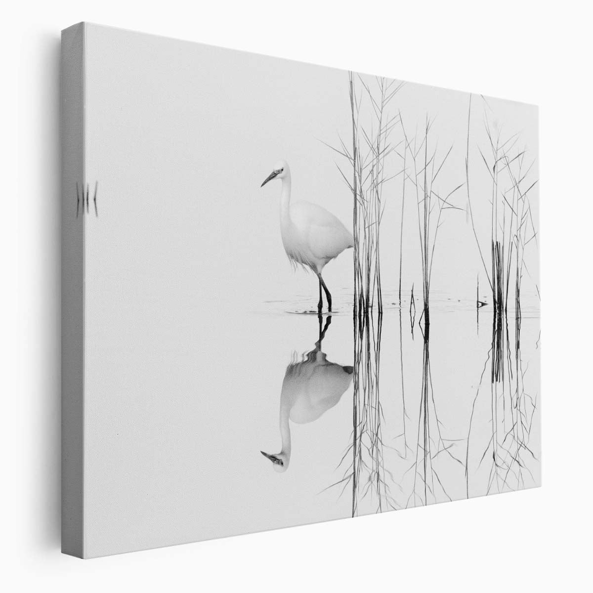 Minimalist White Bird Reflection Monochrome Wall Art by Luxuriance Designs. Made in USA.