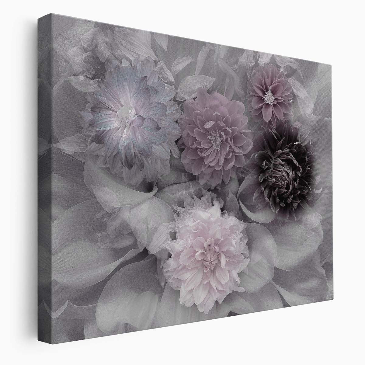 Double Exposure Purple Dahlia Macro Floral Photography Wall Art