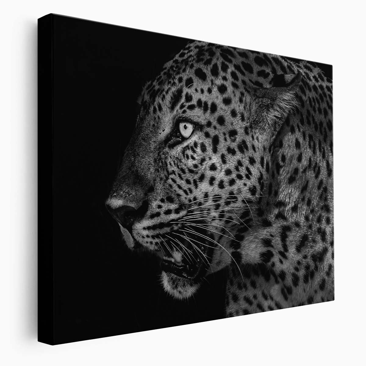 Black & White Leopard Profile Portrait Wall Art by Luxuriance Designs. Made in USA.