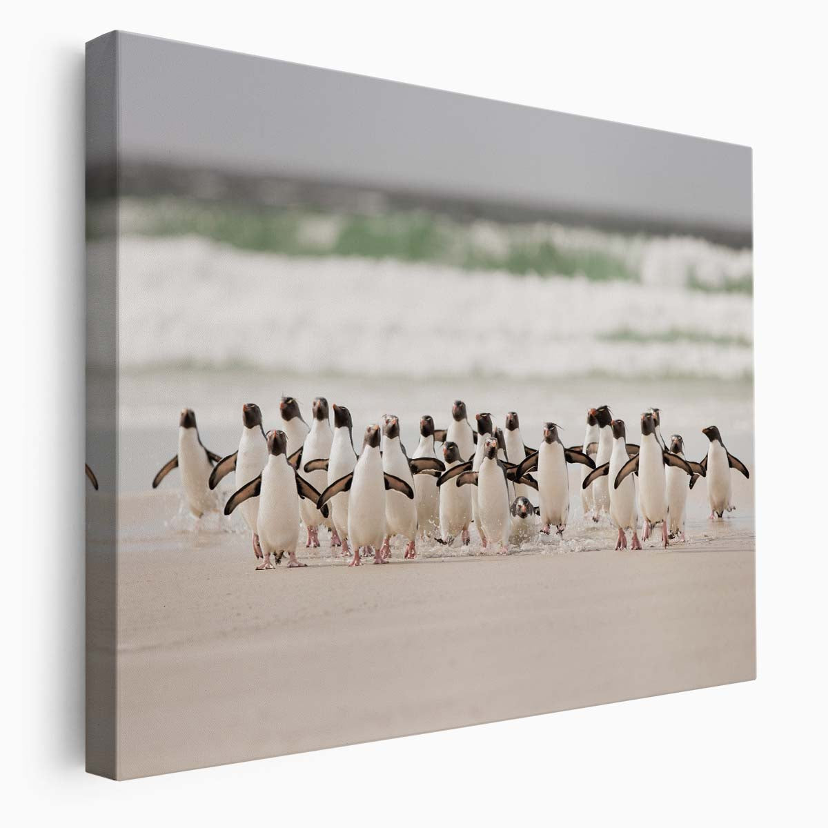Penguin Flock Seaside Run Coastal Wildlife Wall Art by Luxuriance Designs. Made in USA.