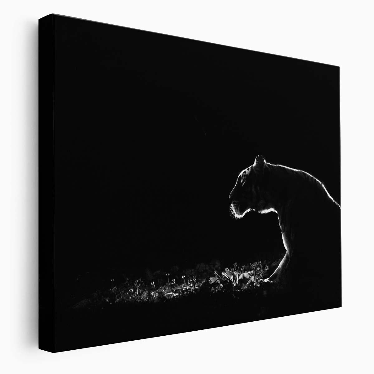 Minimalist Dark Lion Safari Wildlife Wall Art by Luxuriance Designs. Made in USA.